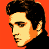 Elvis (2)